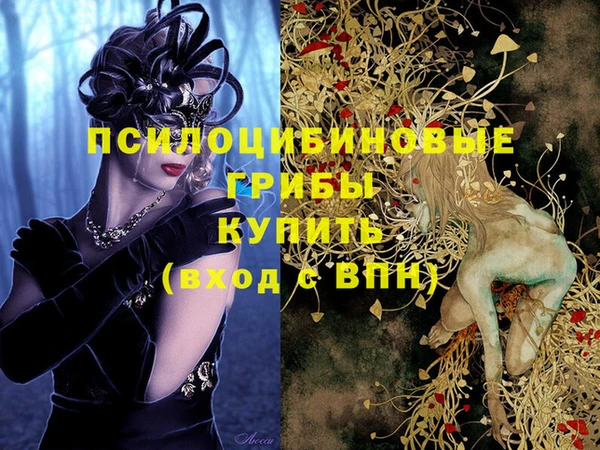 винт Аркадак