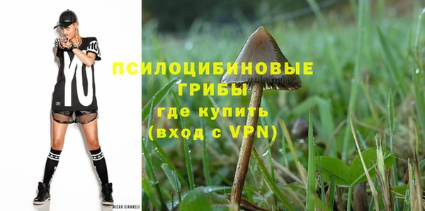 спайс Алзамай