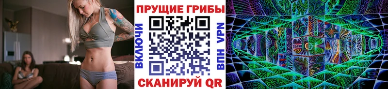 продажа наркотиков  Новороссийск  Галлюциногенные грибы прущие грибы 